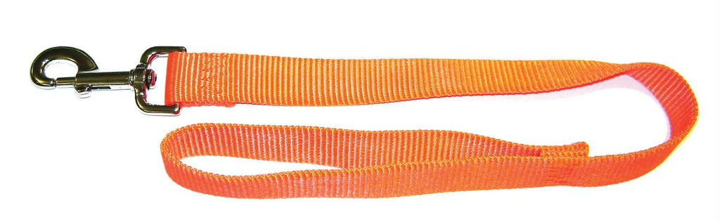 Single Thick Nylon Lead