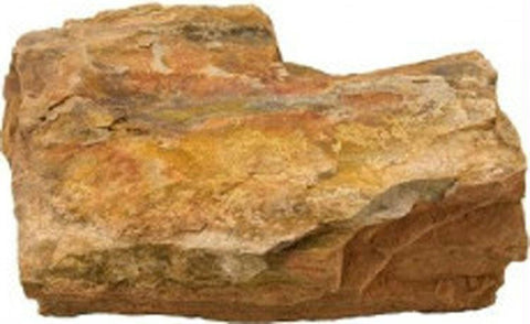 Petrified Wood