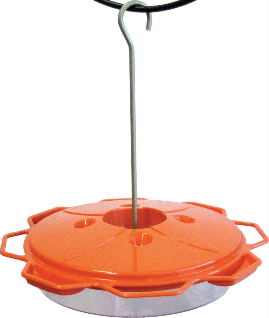 3-in-1 Oriole Dish