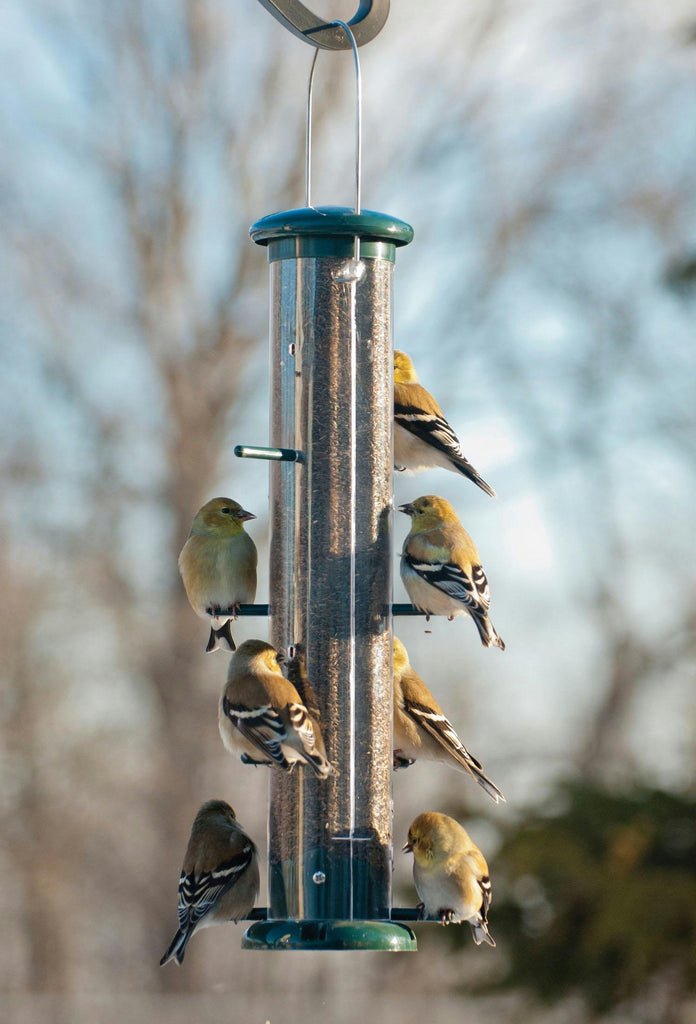 Finch Tube Feeder