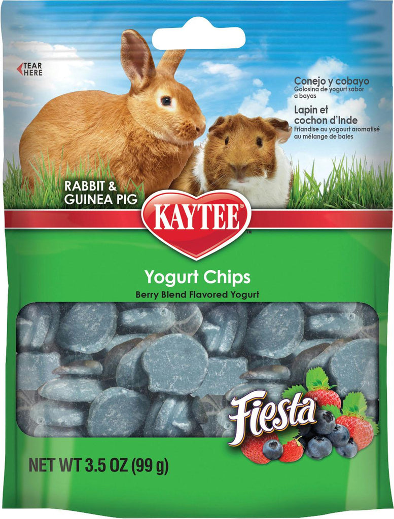 Fiesta Yogurt Chips