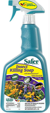 Safer Insect Killing Soap With Seaweed Extract