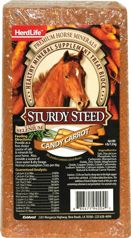 Sturdy Steed Horse Salt Block