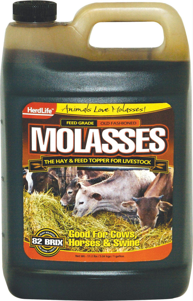 Molasses Livestock