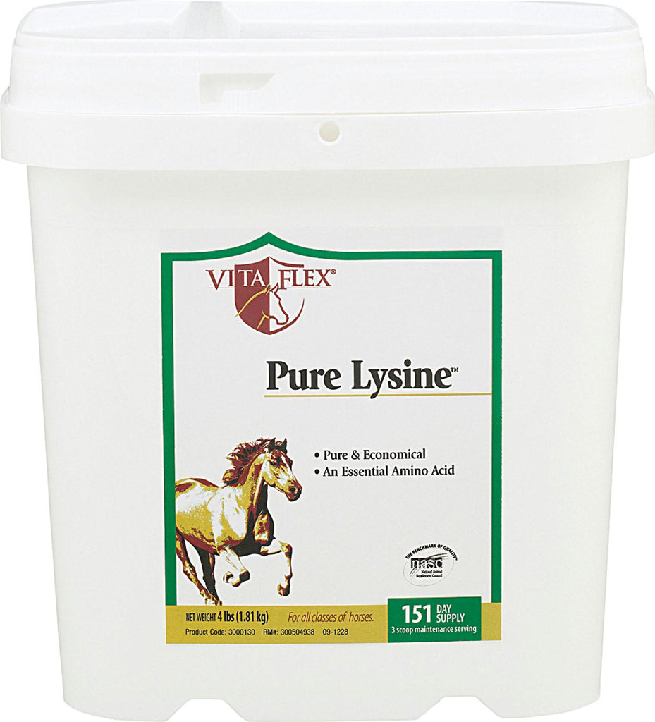 Pure Lysine Amino Acid Supplement For Horses