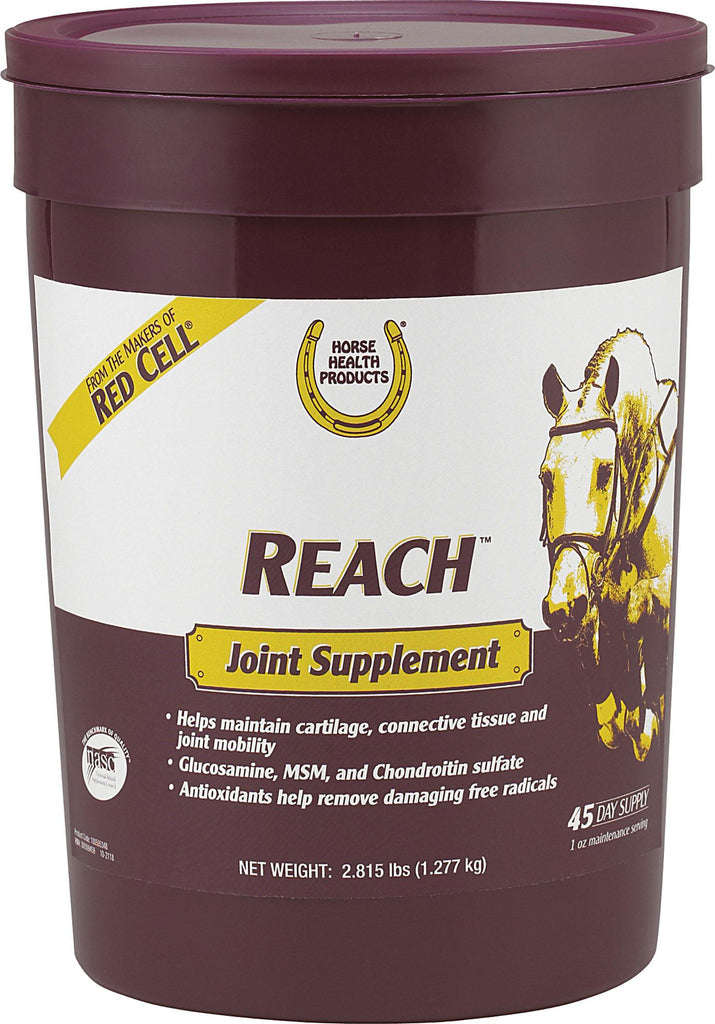 Reach Joint Supplement For Horses