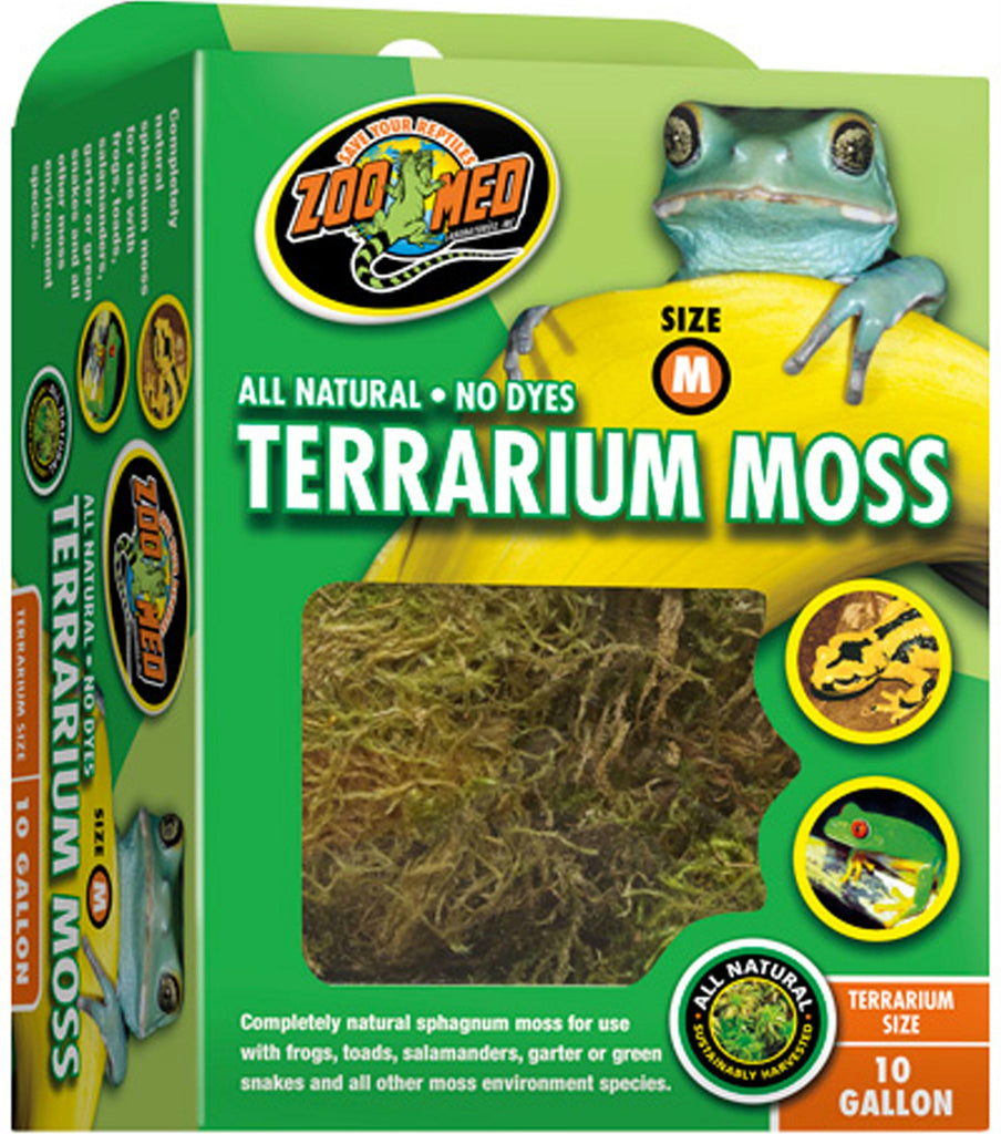 Terrarium Moss