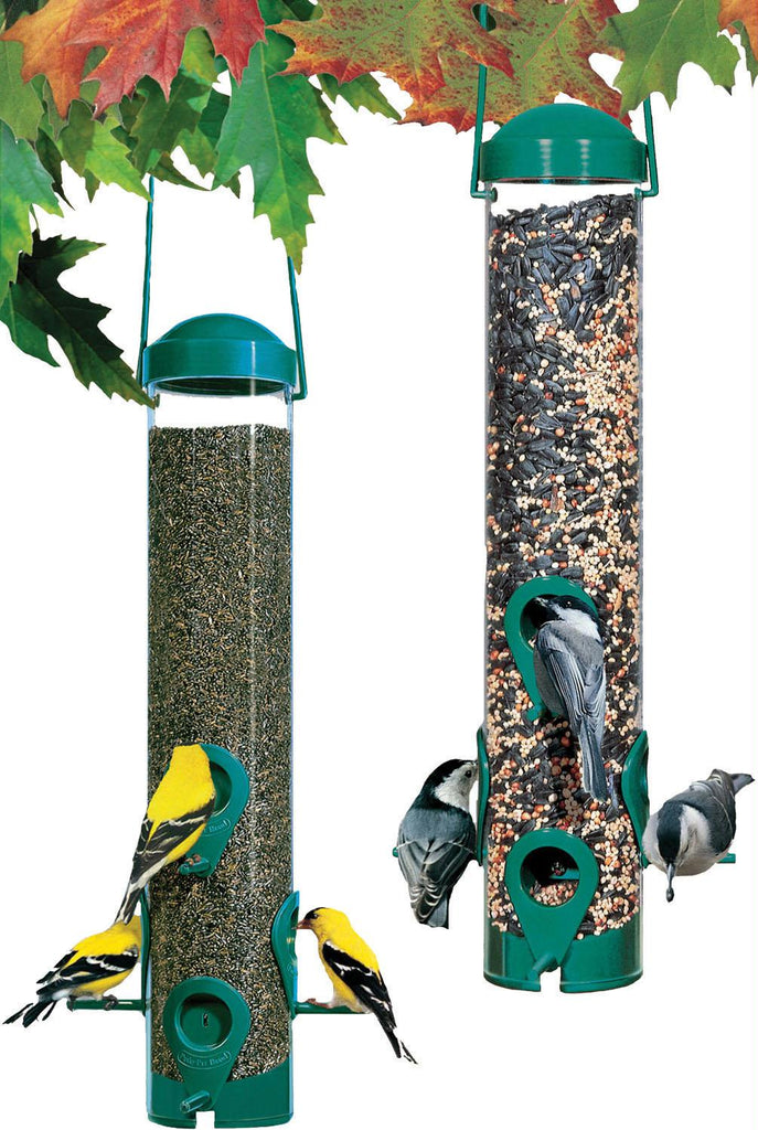 Sierra Wild Bird And Finch Feeder