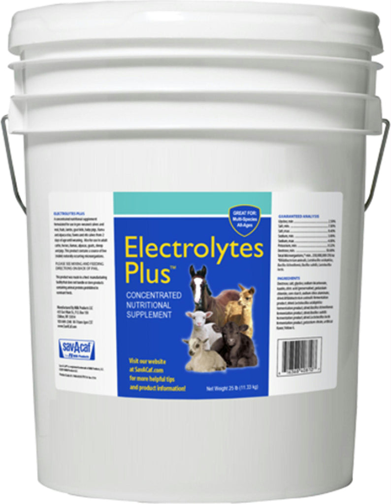 Electrolytes Plus Multi-species Supplement