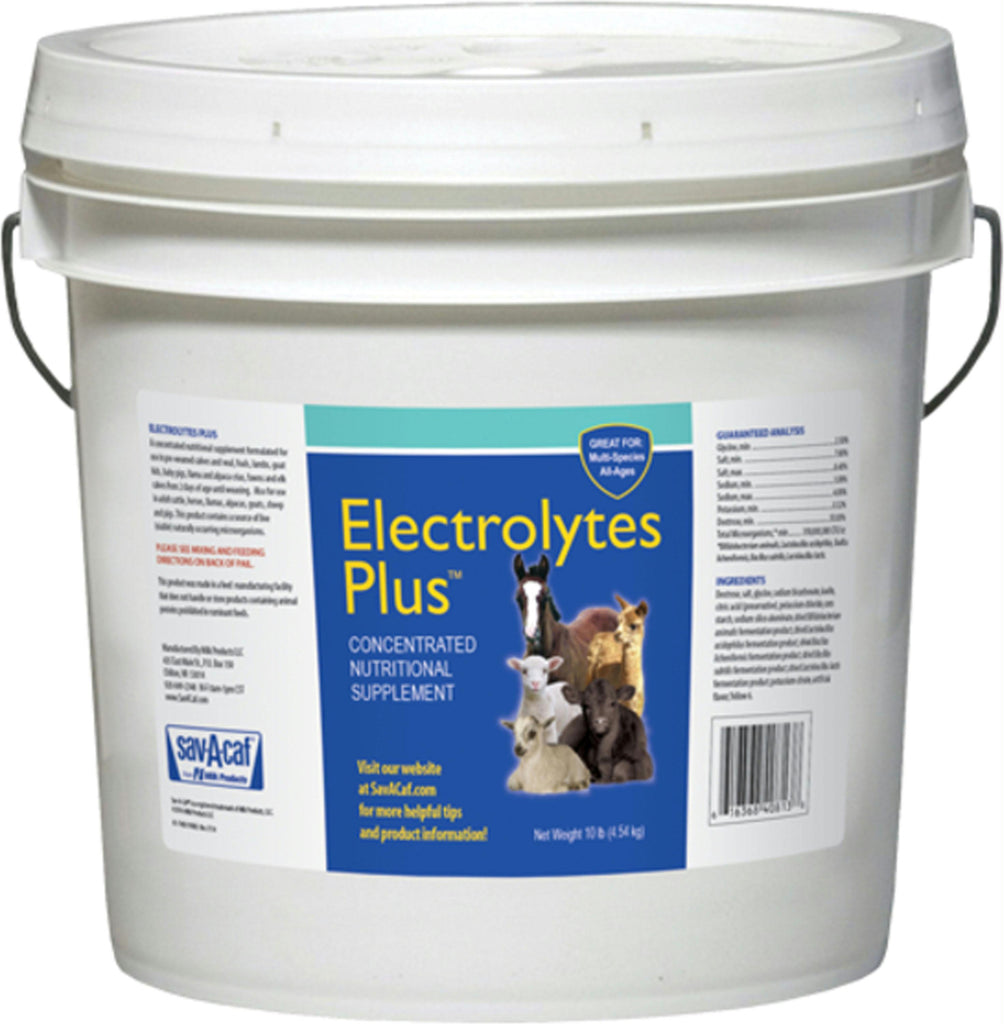 Electrolytes Plus Multi-species Supplement