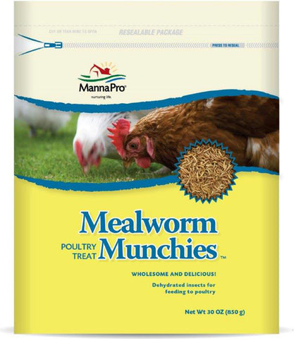 Mealworm Munchies