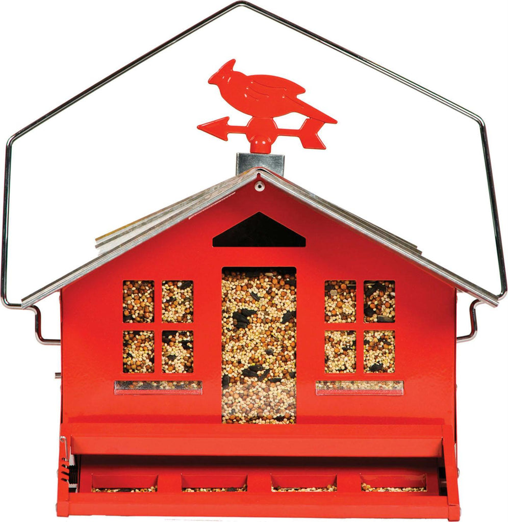 Squirrel-proof Wild Bird Feeder