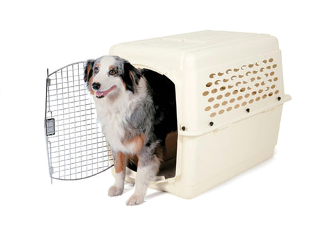 Vari Kennel Pet Carrier