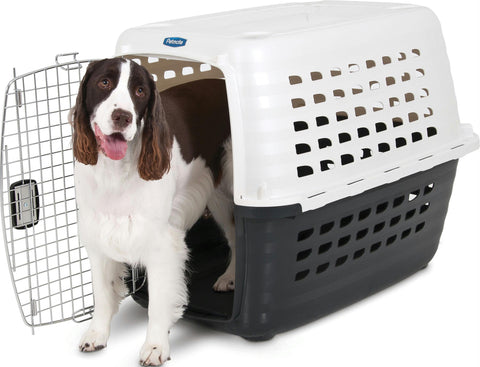 Fashion Compass Kennel