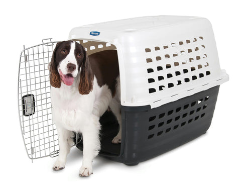 Fashion Compass Kennel