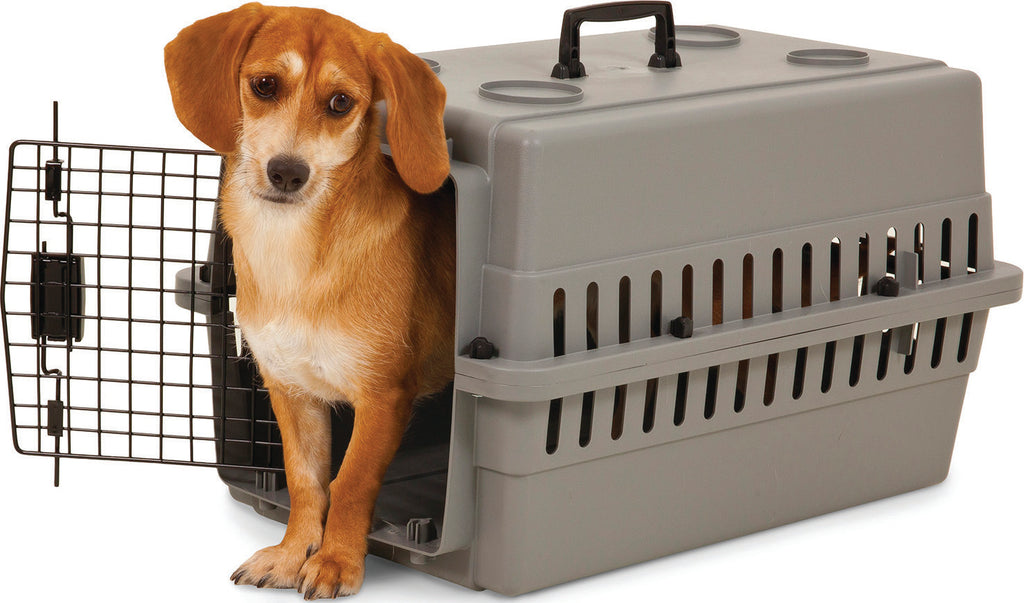 Aspenpet Traditional Plastic Kennel