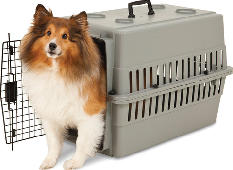 Aspenpet Traditional Plastic Kennel