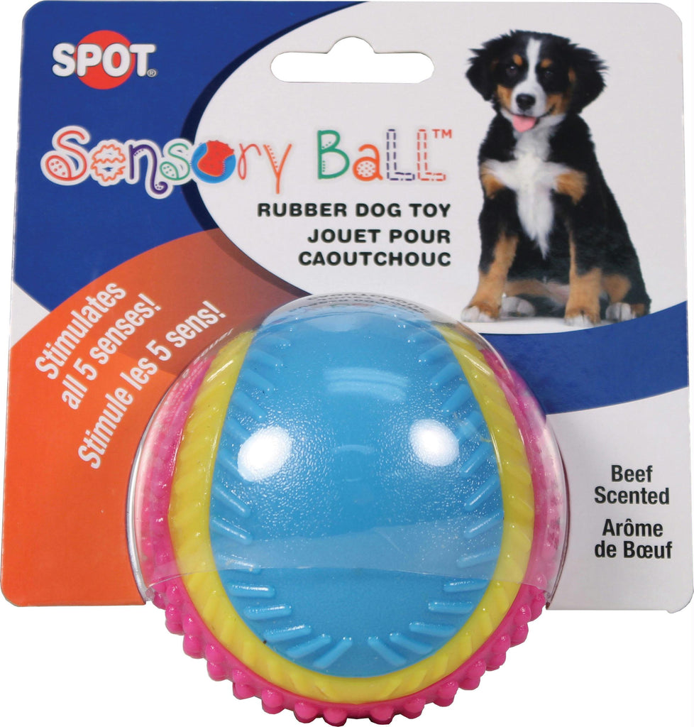 Sensory Ball Rubber Dog Toy)