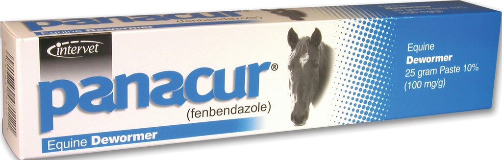 Panacur Paste Equine Dewormer