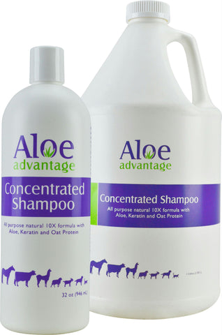 Aloe Advantage Concentrated Shampoo 8:1