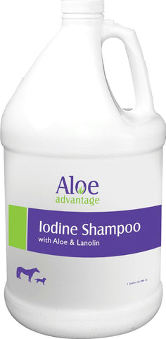 Aloe Advantage Iodine Shampoo