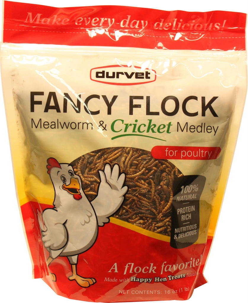 Fancy Flock Mealworm