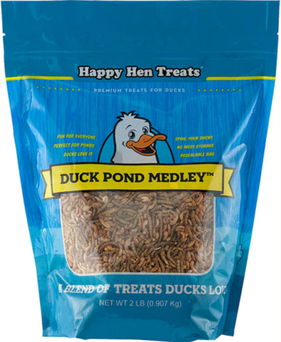 Duck Pond Medley