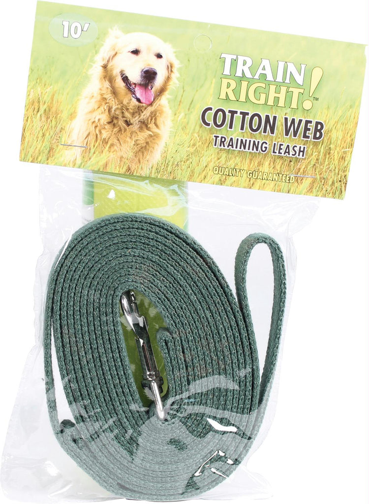 Train Right! Cotton Web Dog Training Leash