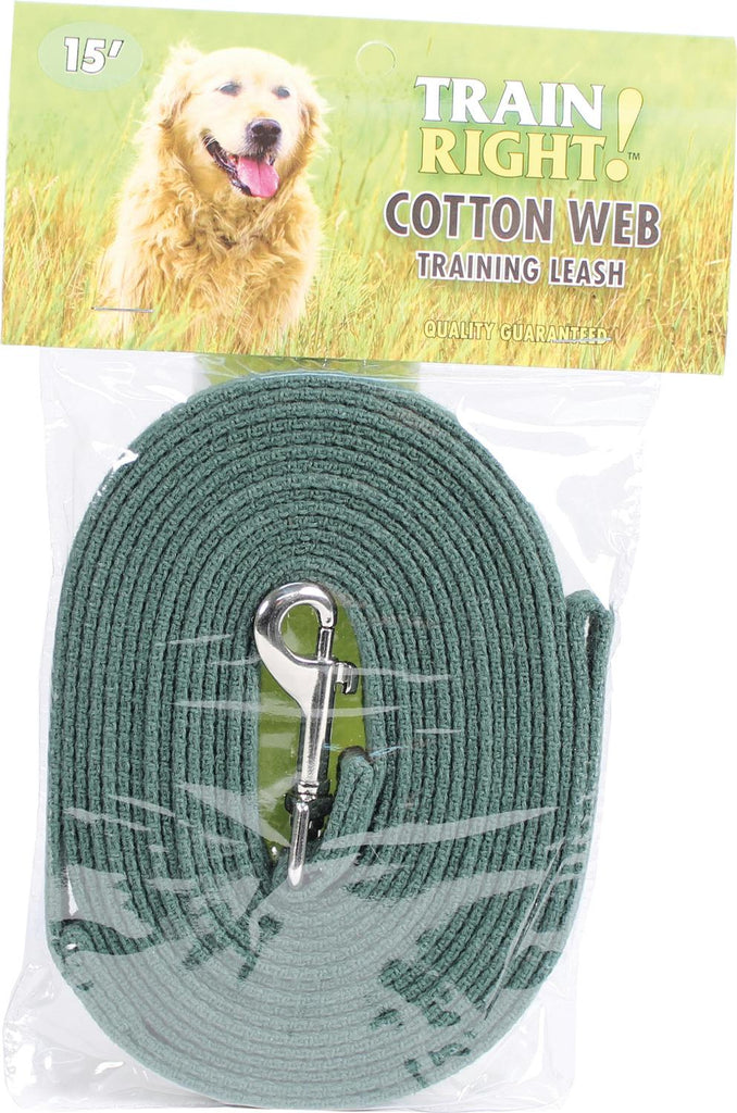 Train Right! Cotton Web Dog Training Leash