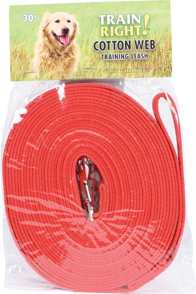 Train Right! Cotton Web Dog Training Leash