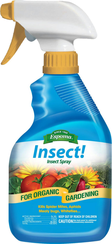 Insect - Insect Spray