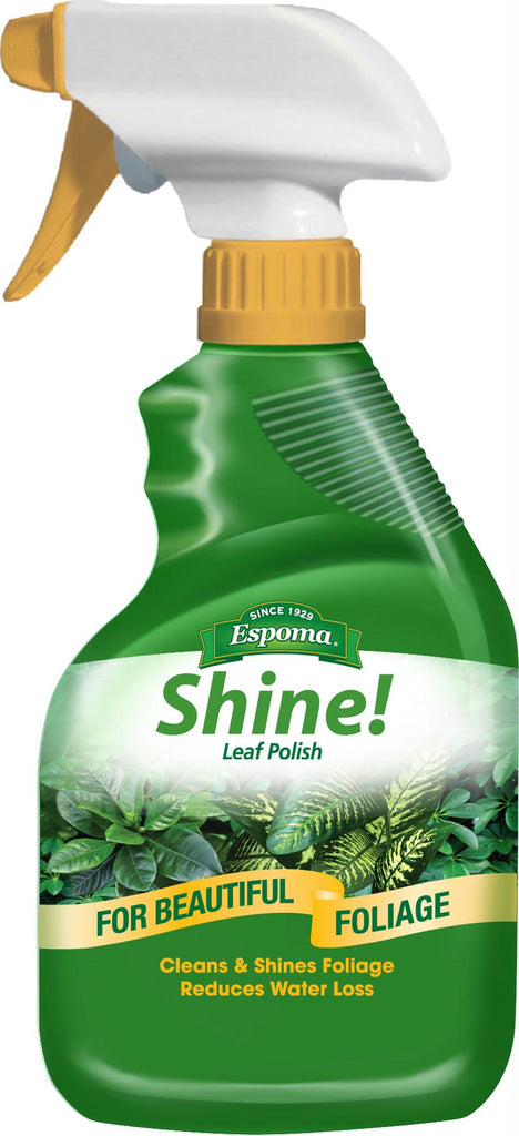 Shine Leaf Polish