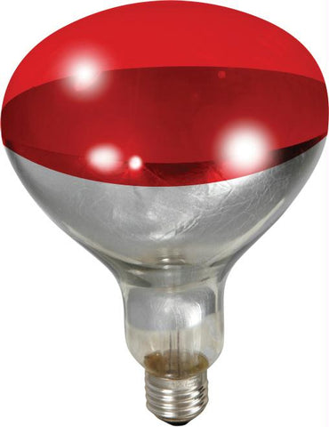 Little Giant Heat Lamp Bulb