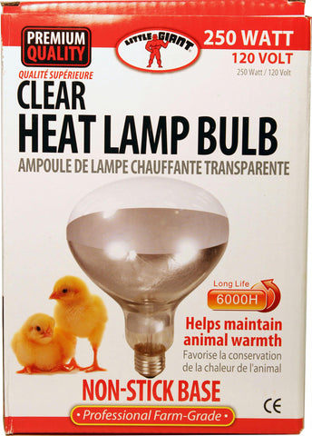 Little Giant Heat Lamp Bulb