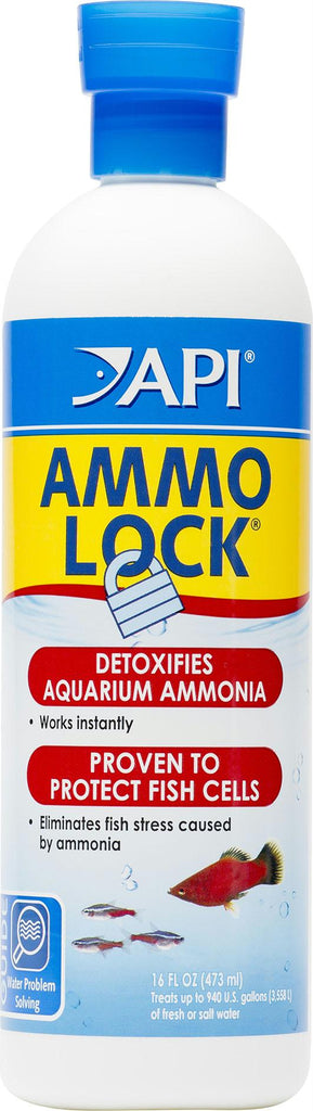 Ammo Lock