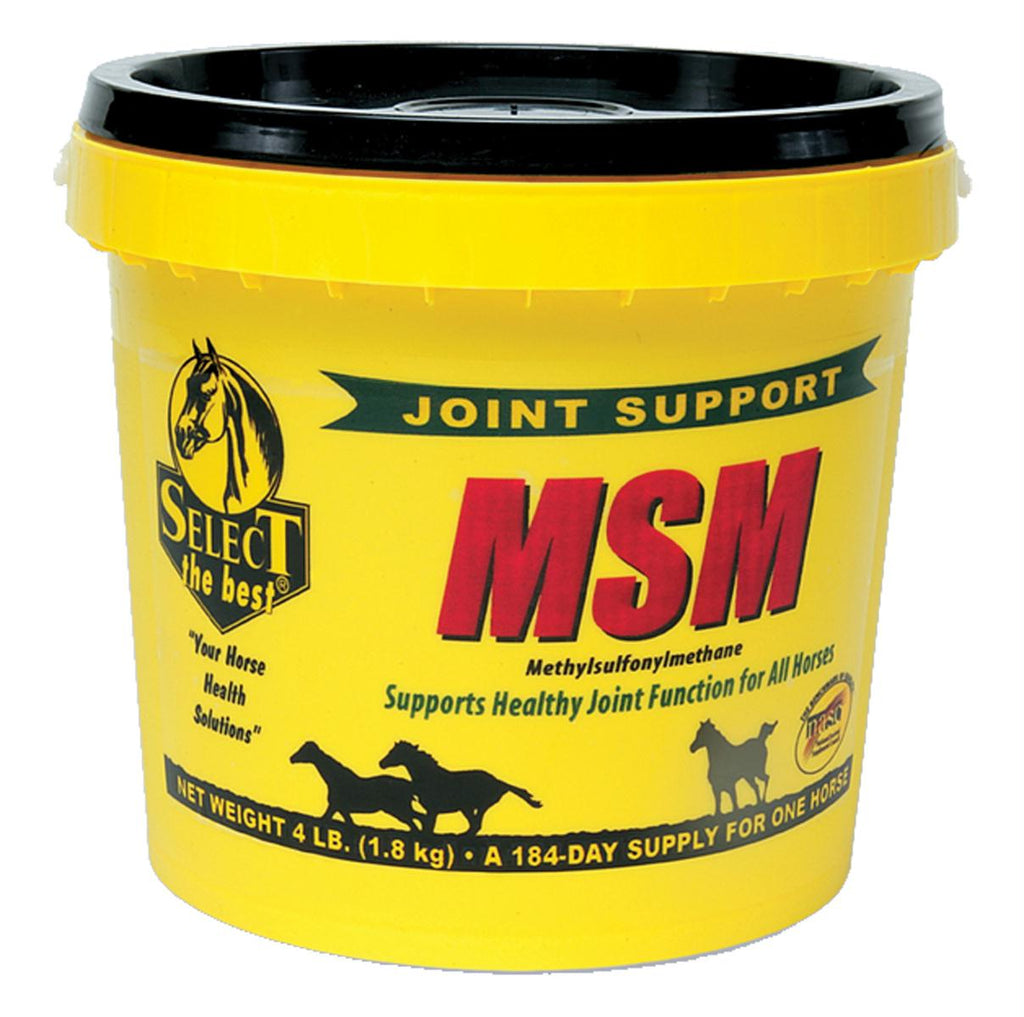 Msm Powder Joint Support For Horses