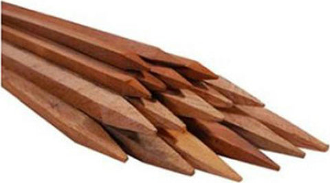 Packaged Hardwood Stakes