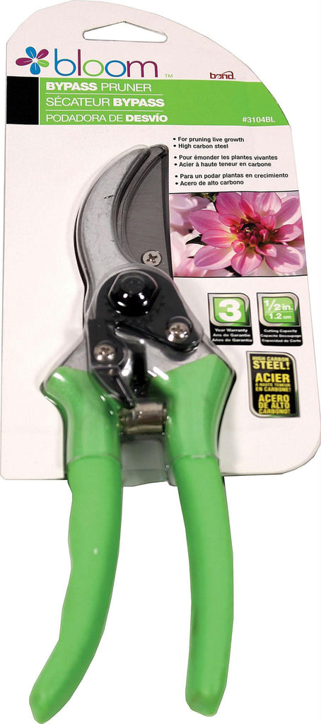 Bloom Bypass Pruner