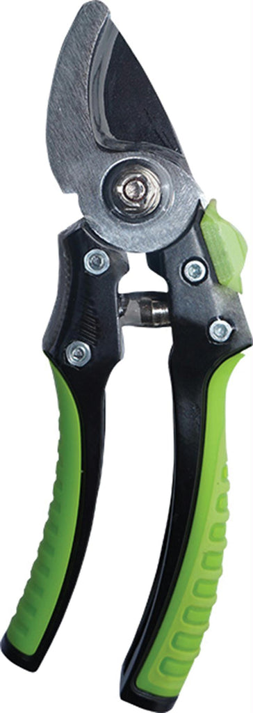 Bloom Bypass Pruner