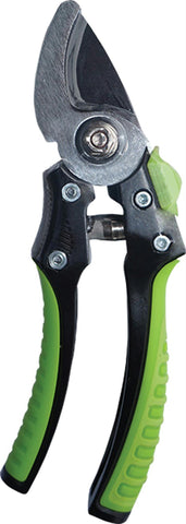 Bloom Bypass Pruner