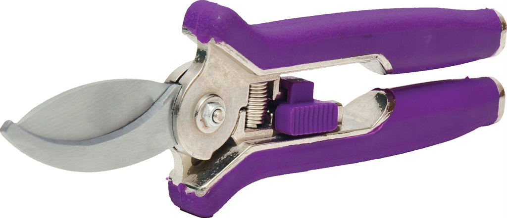 Bloom Bypass Pruner