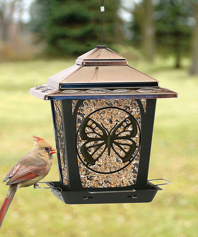 Hopper Style Bird Feeder With Buttefly Design